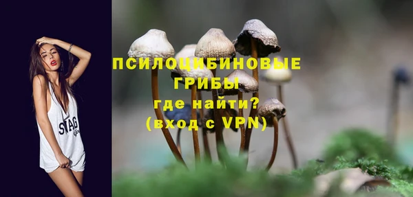 гидропоника Балахна