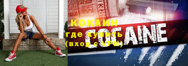 мяу мяу мука Баксан